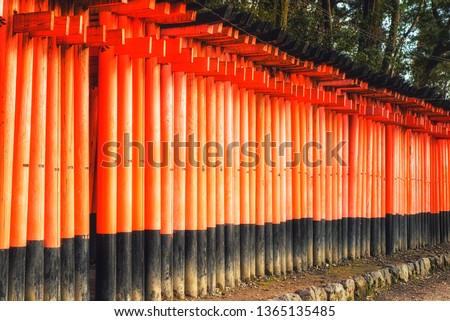 Unusual view of the Fushimi Inari Shrine torrii gates in Kyoto.