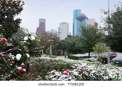 Unusual Weather In Houston: Snow Fell. Texas, United States