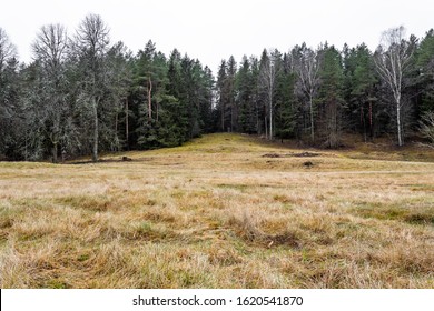 Unusual Winter Landscape  Without Snow In Lithuania 2020, January