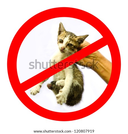 Unwanted cat or no cat bullying sign with white background