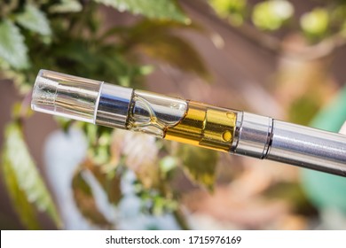 Up-close on vape pen with golden cannabis extracted oil filled cartridge. hemp plant in background
