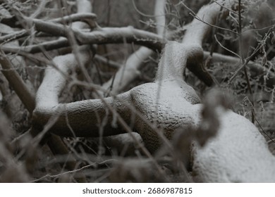 An upclose view of snowdusted tree branches set against a serene winter landscape filled with beauty