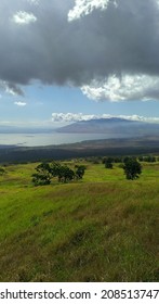 Upcountry Maui