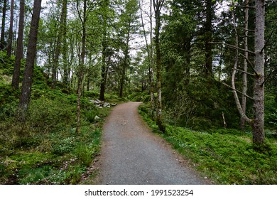 An Uphill Road. Hiking Mount Ørneberget Close To The City Centre In Bergen, Norway