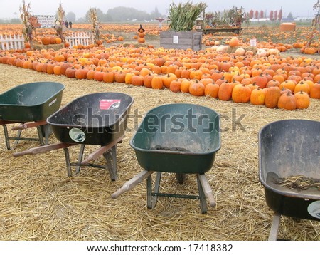 U-Pick Pumpkin Patch