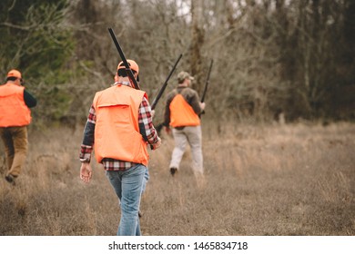 Upland Bird Hunters Walking In Field. 