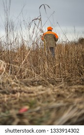 Upland Bird Hunting. 