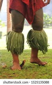 Upoui/ Samoa_18 Sep 2019: A Samoan Man Using His Feet To Putting Out A Fire. In Tradition, Samoan People Using Coconut Fibre To Light Up The Fire.