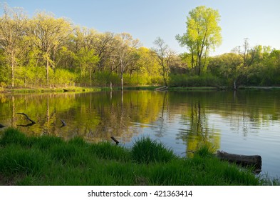 Upper Afton Section Of Battle Creek Regional Park In Saint Paul Minnesota During Peak Spring Season 