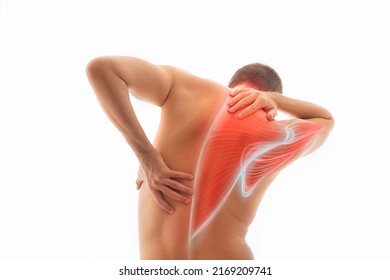 Upper Back Pain, Male Body Torso Back View, Human Trapezius Muscle Illustration