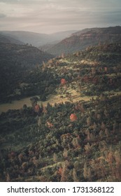 Upper Bidwell Park At Sunset.