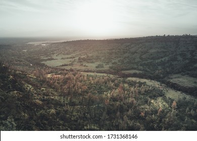 Upper Bidwell Park At Sunset.