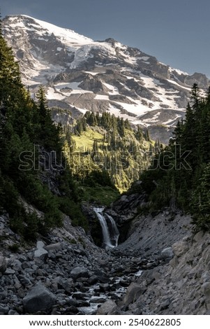 Upper Comet Falls Tumbles into Ravine in Summer in Mount Rainier National Park