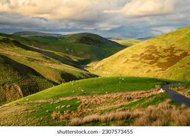 Upper Coquetdale Valley in the Cheviot Hills, as the River Coquet rises on soggy ground in the Cheviot Hills close to the Anglo-Scottish Border in Northumberland National Park - Powered by Shutterstock