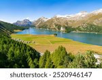 Upper Engadine, Lake Sils, and the village of Isola, photographed from above in summer.
