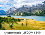 Upper Engadine, Lake Sils, and the village of Isola, photographed from above in summer.
