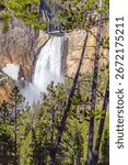 The Upper Falls as seen through trees, Grand Canyon of Yellowstone, Yellowstone National Park, WY