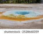 The Upper Geyser Basin is home to 150 geysers in a single square mile, making it the most dense concentration of geysers on the planet. It