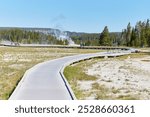 The Upper Geyser Basin is home to 150 geysers in a single square mile, making it the most dense concentration of geysers on the planet. It