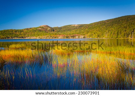 Upper Hadlock Pond in Acadia National Park, Maine.