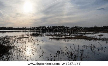 Upper lake on the Selisoo swamps, Estonia on a spring evening just before sunset. Mossy hummocks on calm water, unmelted ice floes near the wooded shore. In a dense cloudy haze, low sun, backlight