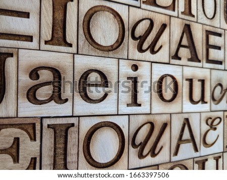upper and lower case vowels on pieces of wood

