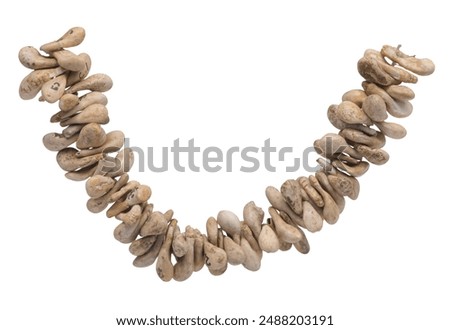 Upper Paleolithic perforated Red Deer Canine bead necklace
