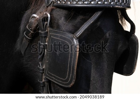 Upper part of a horse's head of a black Friesian horse with leather browband and blinkers. The blinker restrictes the field of vision. Focus on the stitching of the front blinker