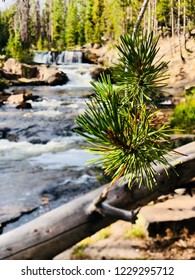 Upper Provo River Falls