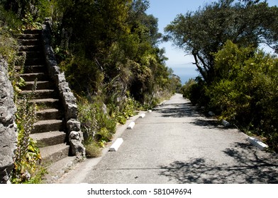 Upper Rock Nature Reserve - Gibraltar