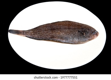 Upper View Of A White Plate With A Single  Sole Fish On Black Background