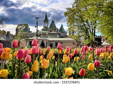 Uppsala Sweden May 17 2019. Spring time in a garden in Uppsala city north of Stockholm, Sweden. Tulips in full bloom in Scandinavia. Beautiful park area in the city center of Uppsala.