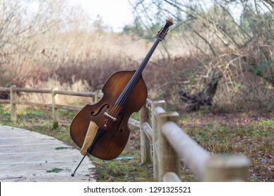 An Upright Bass Outdoors