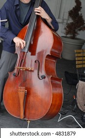 Upright Bass Performer