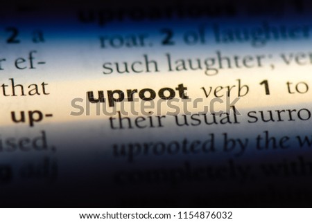uproot word in a dictionary. uproot concept.