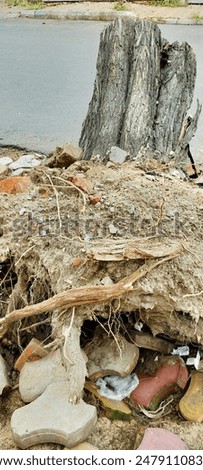 uprooted the tree by the heavy Strom wind, pulled out of the ground on the road,more likely to occur when soils are wet and the tree's roots are unable to securely anchor themselves in the soil.
