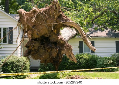 Uprooted Tree Fell On A House After A Serious Storm Came Through