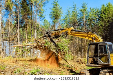 Uprooting trees when preparing land for construction