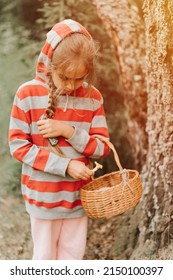 Upset Or Focused Eight Year Old Kid Girl Mushroom Picker Is Seek For And Picking Mushrooms In The Forest. Child Survivalists Gathers A Wild Fungus Harvest And Outdoor Foraging  In Nature. Flare