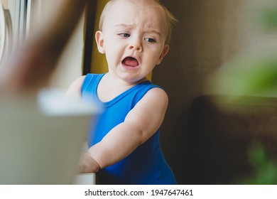 Upset Noisy Baby Standing Near Window And Crying At Home. Weeping Toddler Caucasian Boy. 