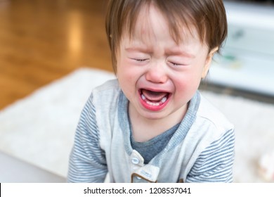 Upset Toddler Boy Screaming And Crying In His House