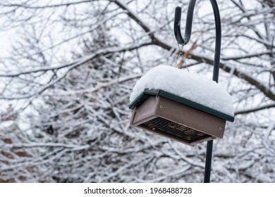 Upside Down Bird Suet Feeder Covered With Snow