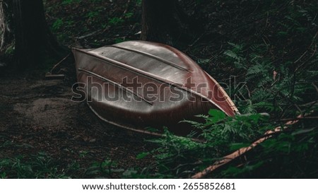 Upside down red canoe in dark green forest