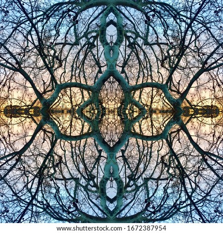 Upside down world ...simmetrical vision of life