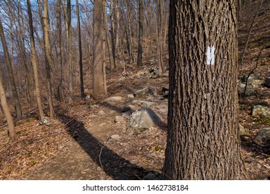 Upstate New York Bear Mountain Trail Marker