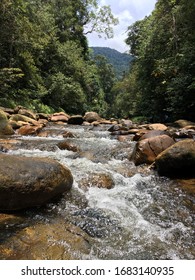 Upstream Of Sarawak River Kanan Sungai Adis, Borneo