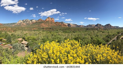 Uptown Sedona Landscape, Arizona