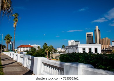 Uptown View From Corpus Christi , Texas Downtown Skyline Cityscape With Tall Palm Trees Around The Coastal City