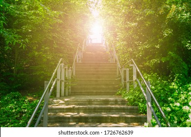 Upward concrete stairs ascending to the brightness of sunlight