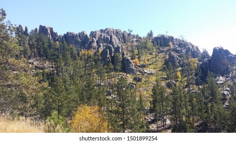 An Upward Hill Facing The Rocky Black Hill Mountains Behind A Grove Of Ponderosa Pine Trees Found In Black Hills National Forest In South Dakota During The Fall